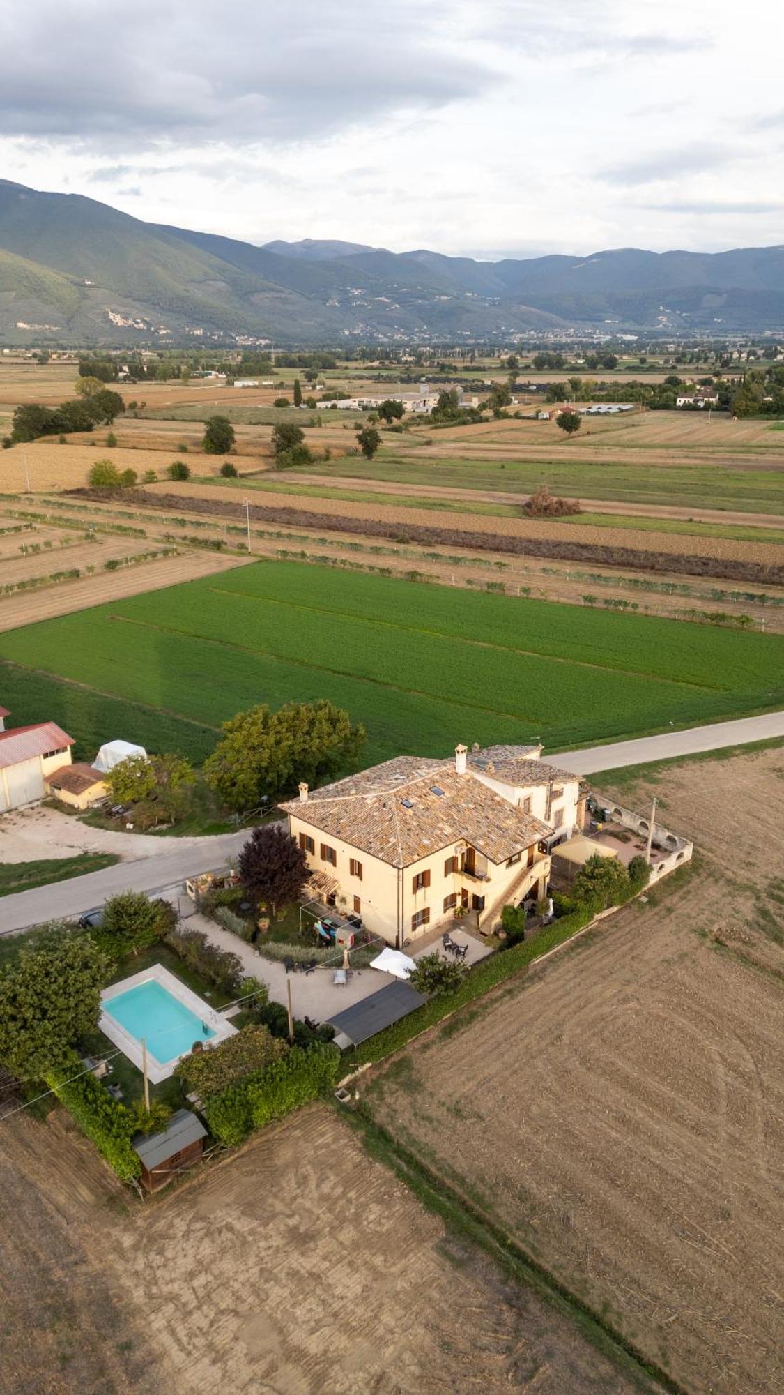 Casa Cardarella Pension Beroide Buitenkant foto