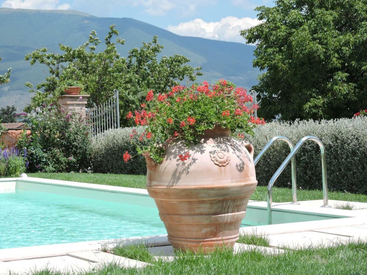 Casa Cardarella Pension Beroide Buitenkant foto